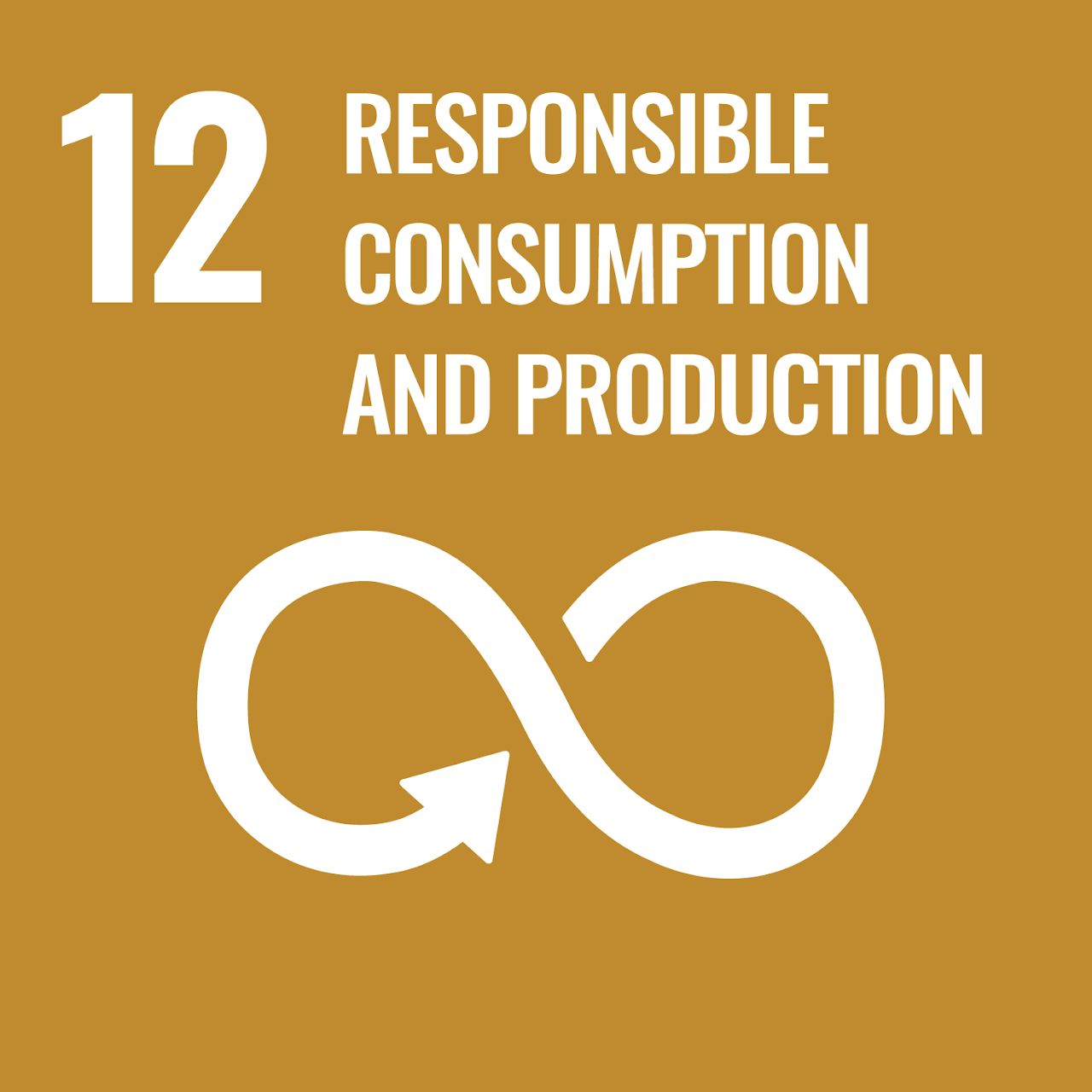 12° Responsible consumption and production